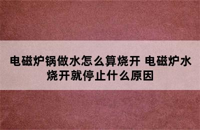 电磁炉锅做水怎么算烧开 电磁炉水烧开就停止什么原因